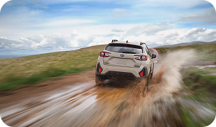 Capability and Efficiency