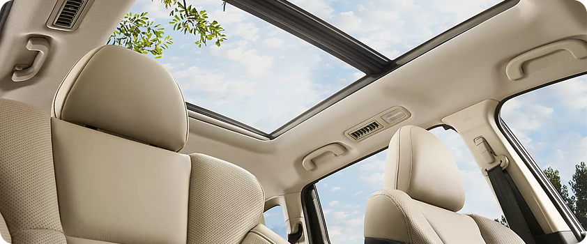 Panoramic Moonroof