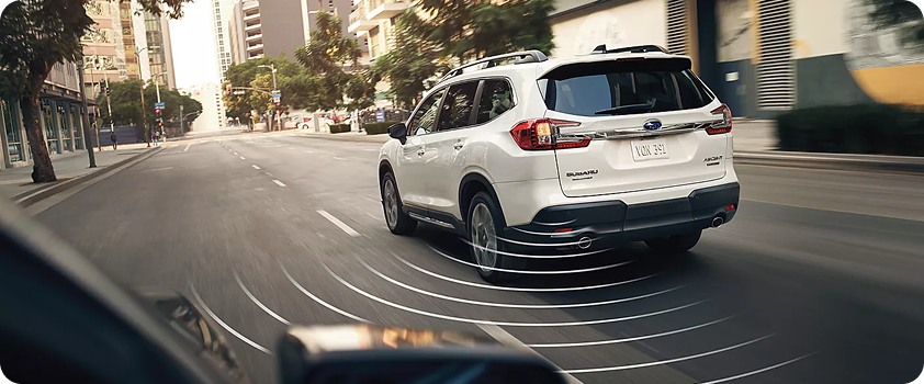 All-Around Awareness