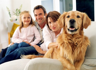 petwithfamily.jpg