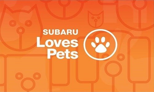 Subaru loves pets