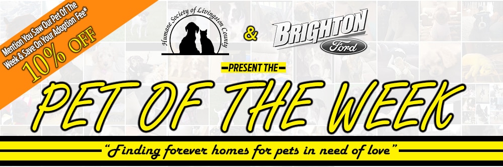 10% Off Of Adoption Fee At Humane Society Of Livingston County