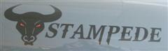 Stampede logo (WinCE).jpg
