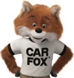 Car fox.png