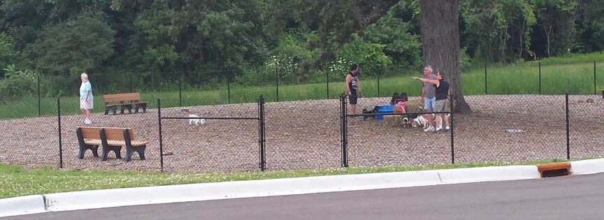 Dog Days of Summer Event