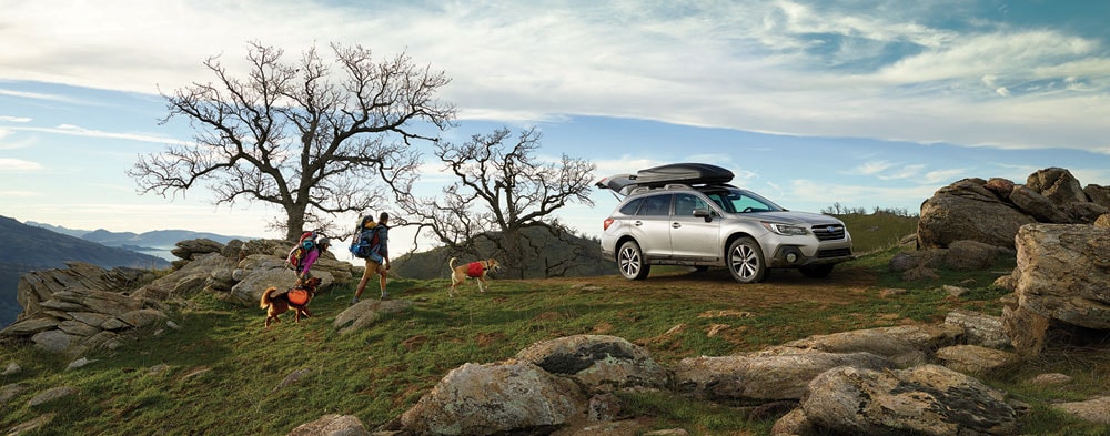 subaru outback elgin il