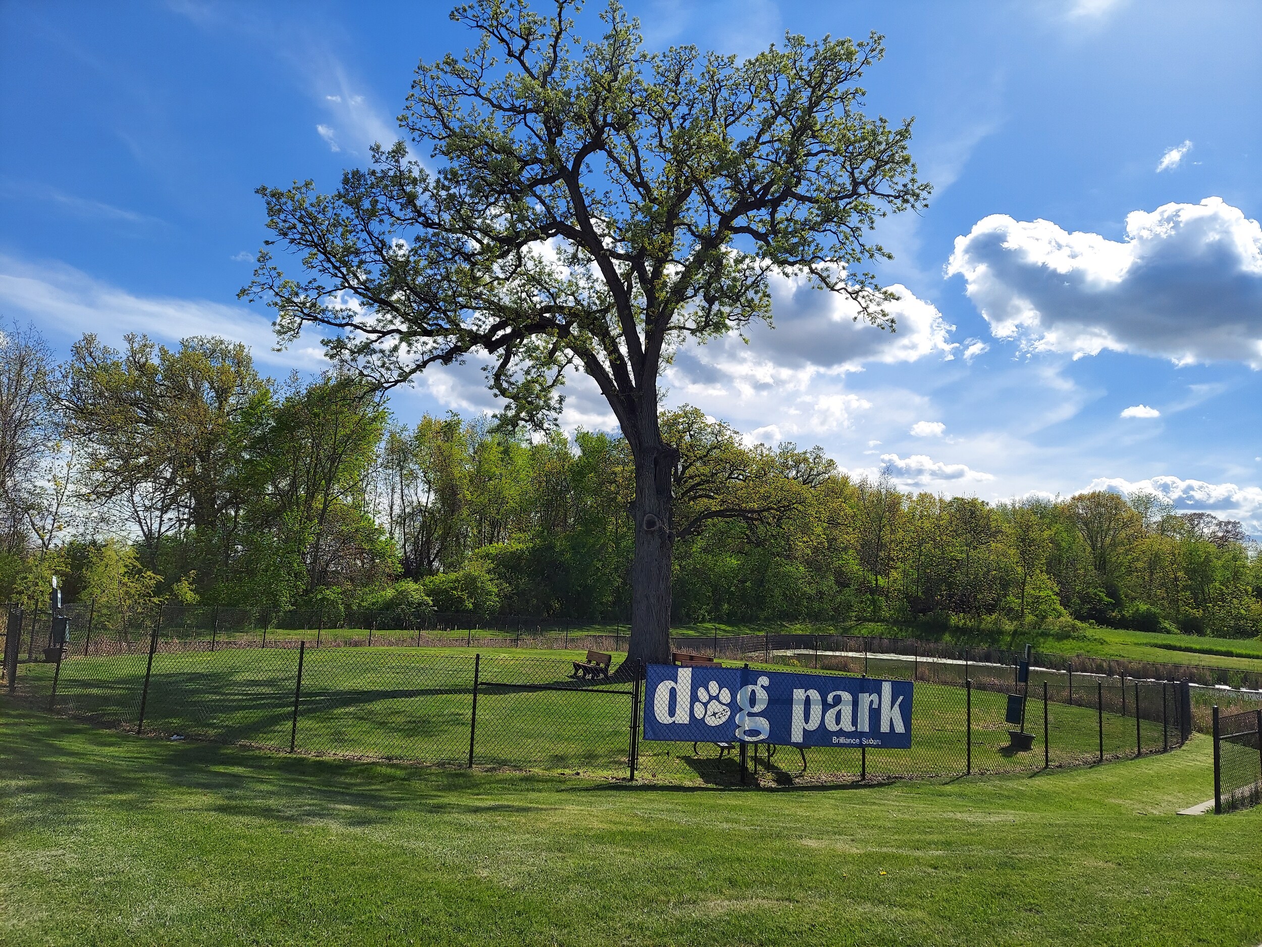 dog park spring.jpg