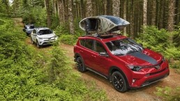 rav4.jpg