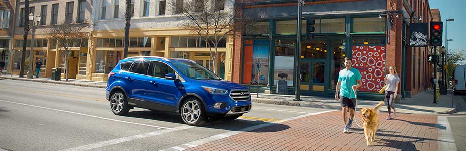 New 2019 Ford Escape Green Bay