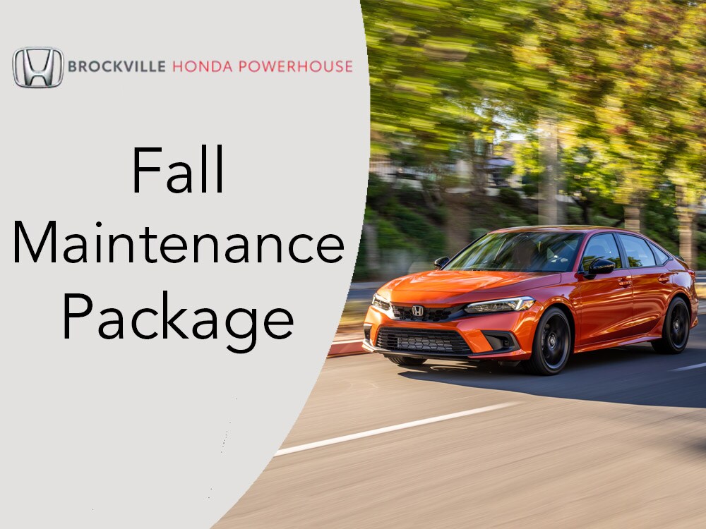 Fall Maintenance Service Fall Maintenance Service