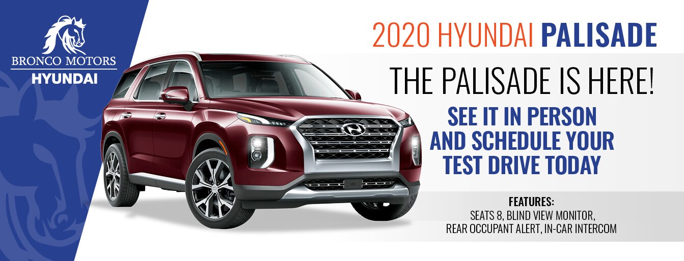 bm_hyundai palisade here_07.19.jpg