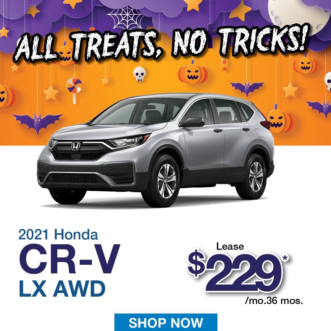 BxHon-110 October website banners2.jpg
