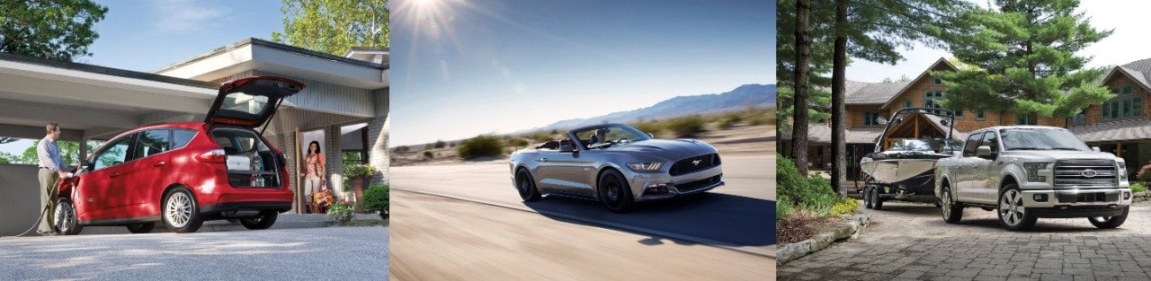 New Ford Models