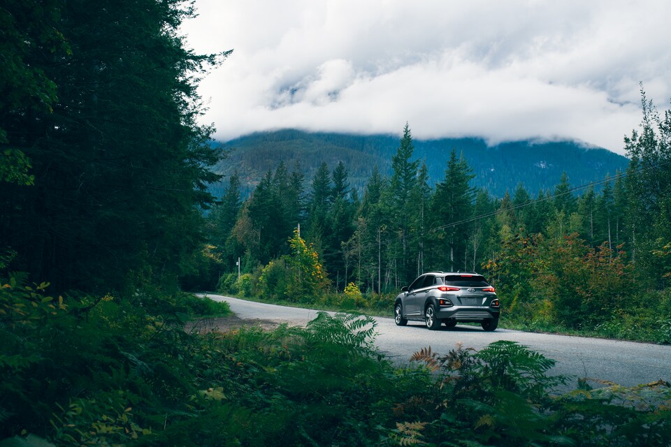 Hyundai Kona Hyundai Kona