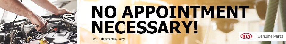 No Appointment Necessary
