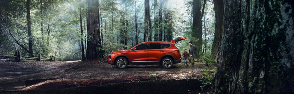 2019-Hyundai-Santa-Fe-Limited-SUV-L01 (1) (1).jpeg