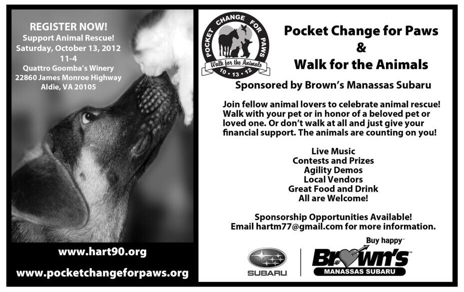 pocket_change_for_paws.png