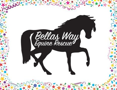 bellas-way-equine.jpg