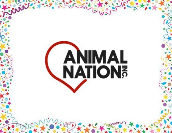 animal-nation.jpg