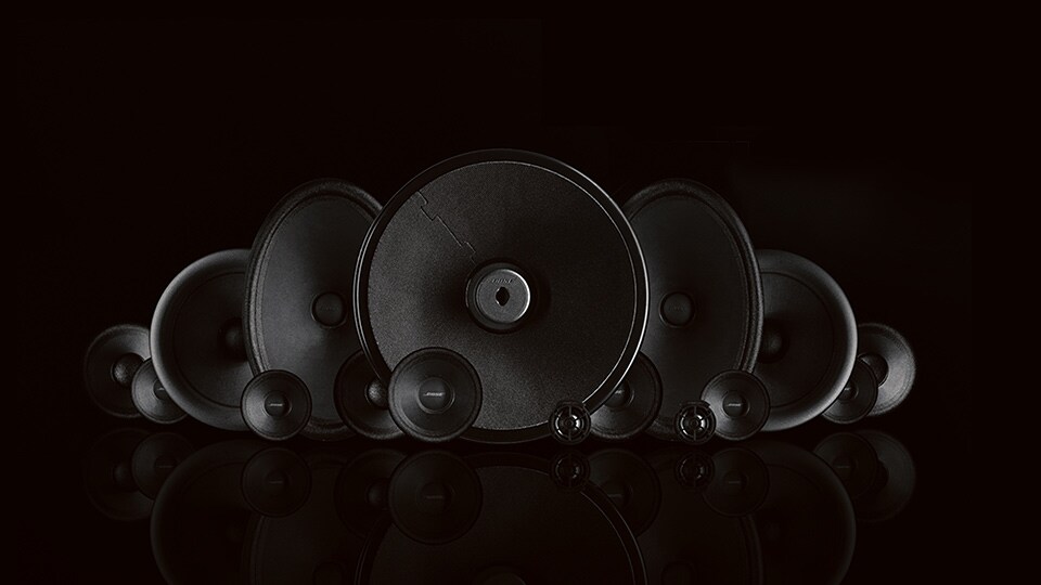 Bose Premium Audio System
