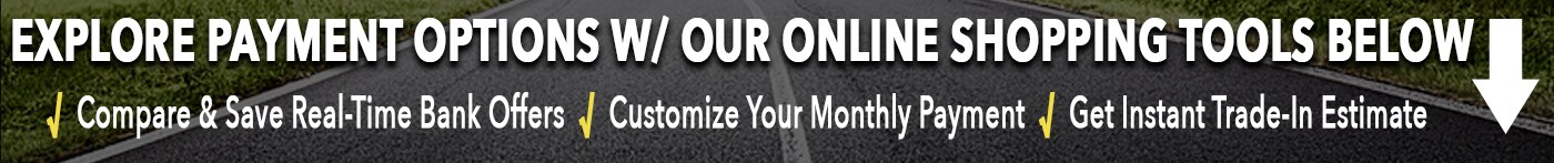 online shopping ford vrp.jpg