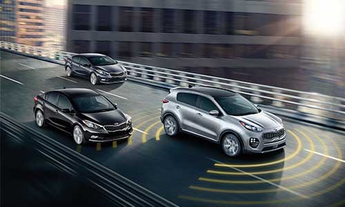 New Kia Sportage Wise VA