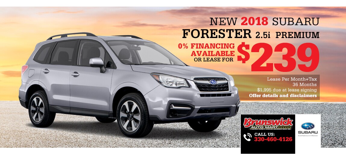 forester_landing page.jpg
