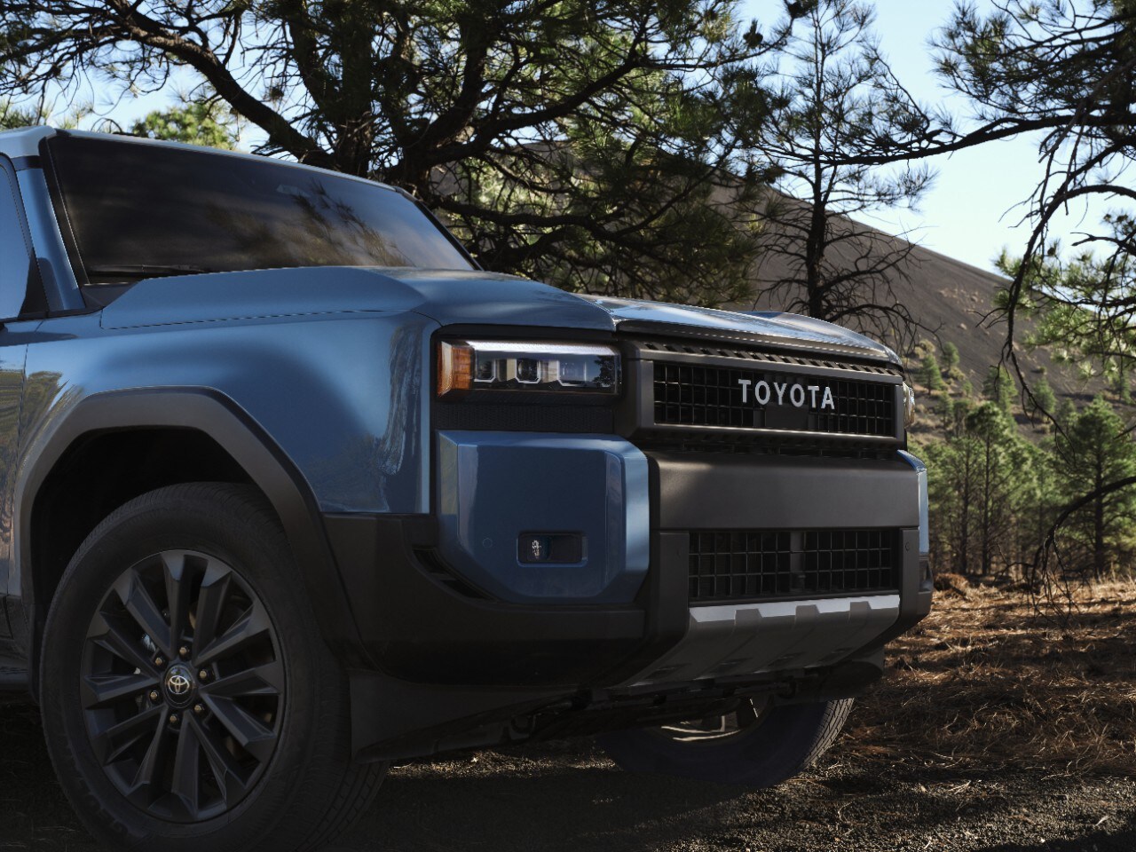 Used Car Dealer near Me