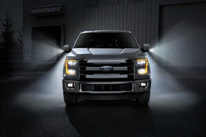 2016 Ford F-150 Side LED Lights