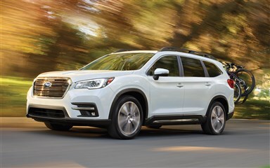 2019 Subaru Ascent.png