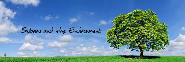 subaru environment 01.jpg
