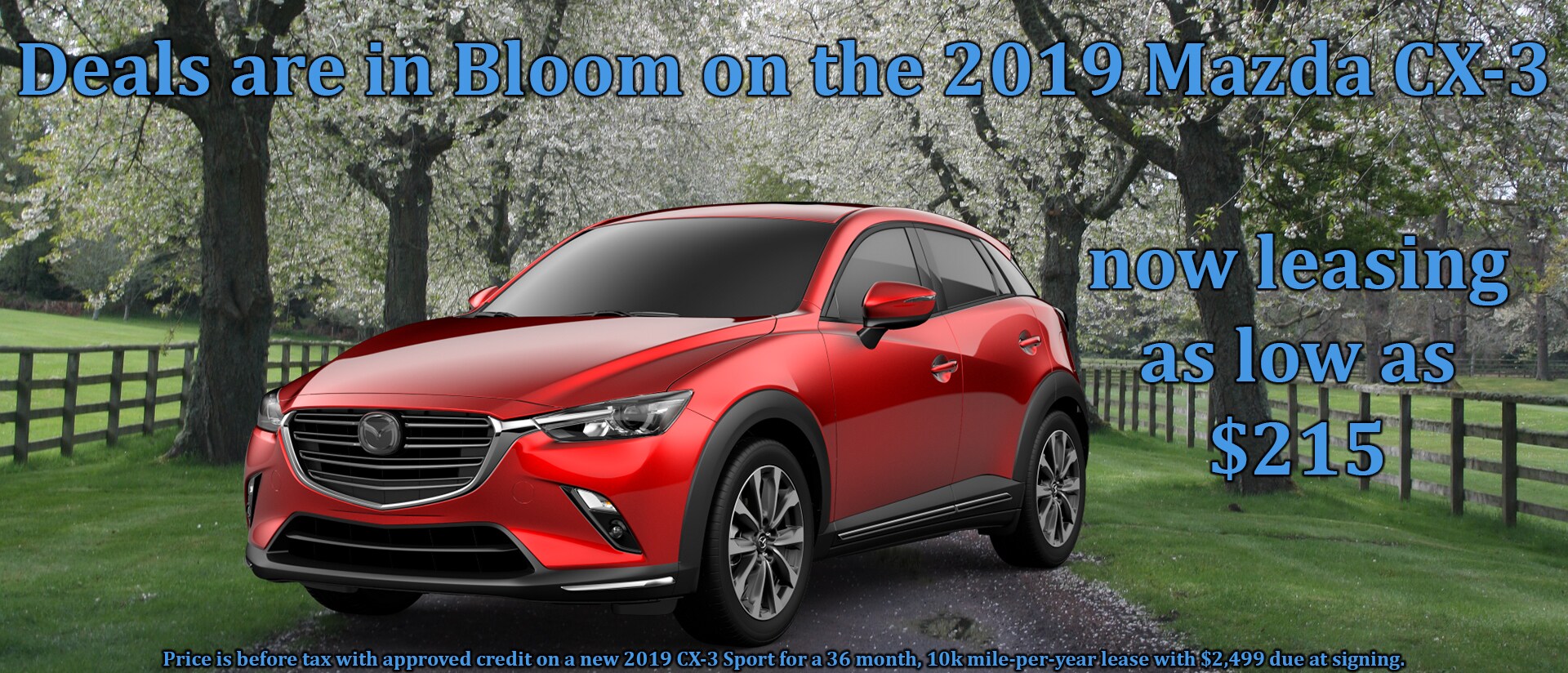 CX-3.jpg