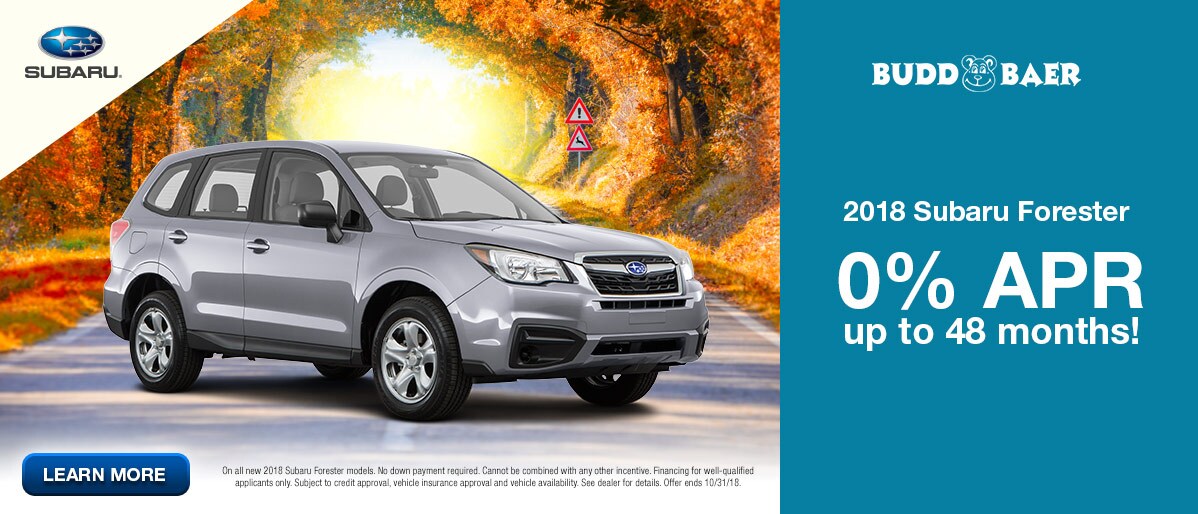 Forester - Oct 2018.JPG