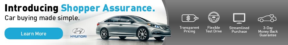 https://pictures.dealer.com/b/buerklehyundai/1947/81c9c17a00b14d814b14a208d8ed155ex.jpg