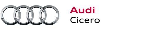 Audi CI Compliant Dealer Logo.jpg