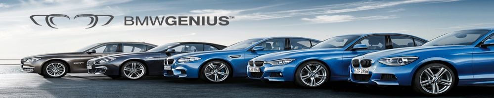 Genius Hero 999x200.jpg