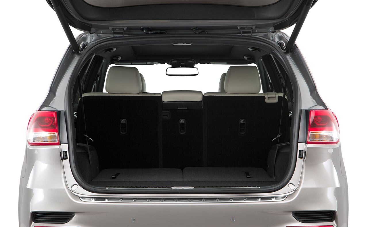 Trunk.jpg