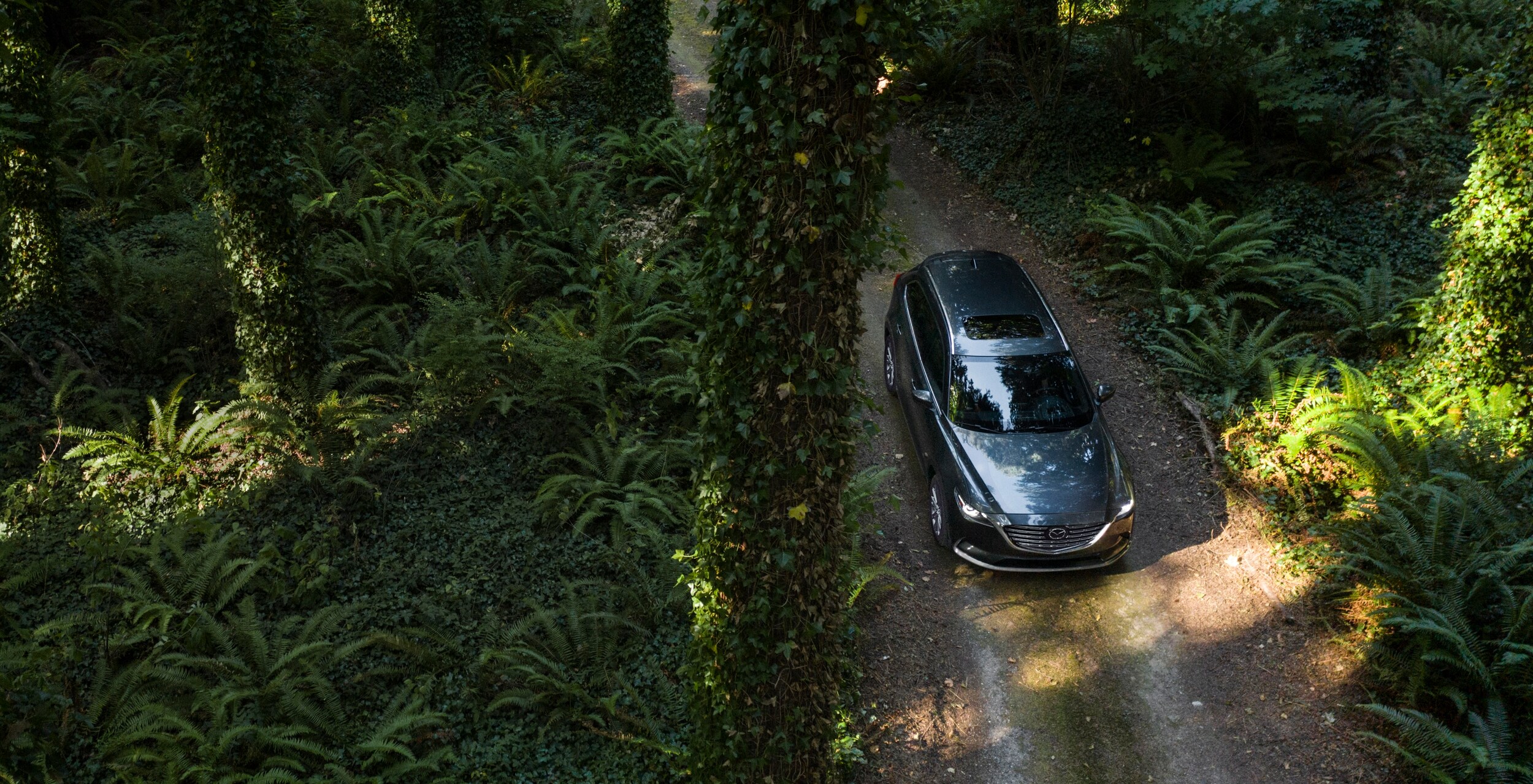 2022-Mazda-CX9-Signature-SUV-L01.jpg