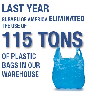 plasticbags.jpg
