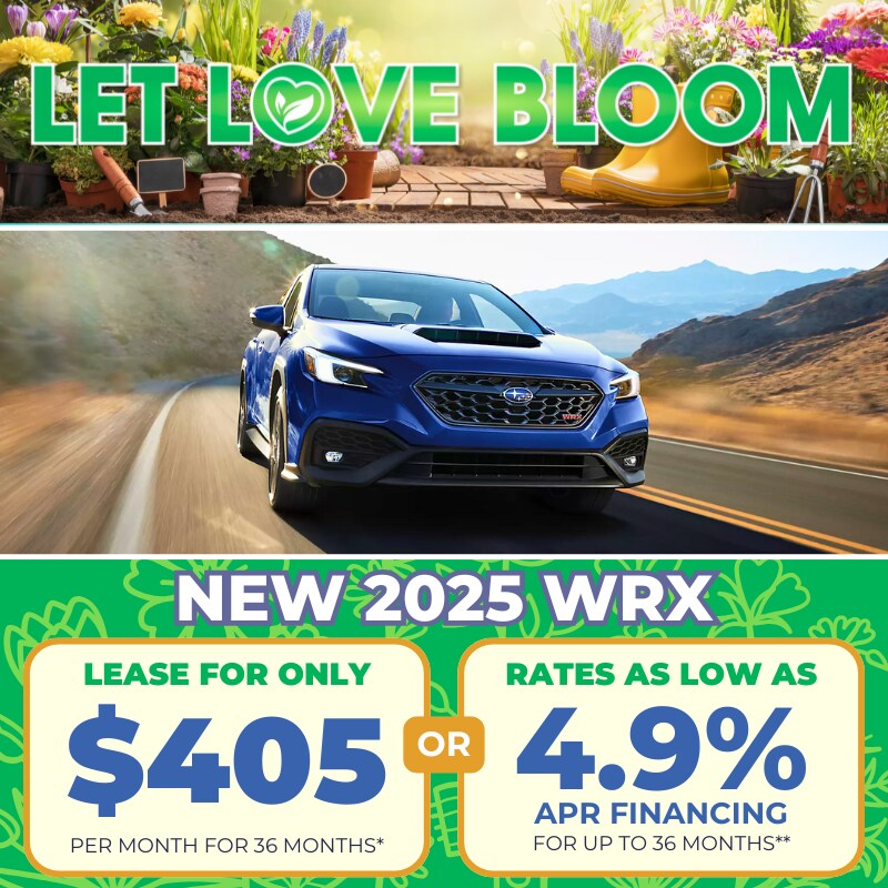 2025 New Subaru WRX Special 2025 New Subaru WRX Special