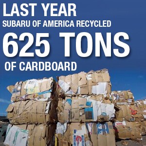 cardboard.jpg