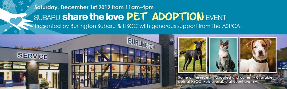 subaru-pet-adoption.jpg