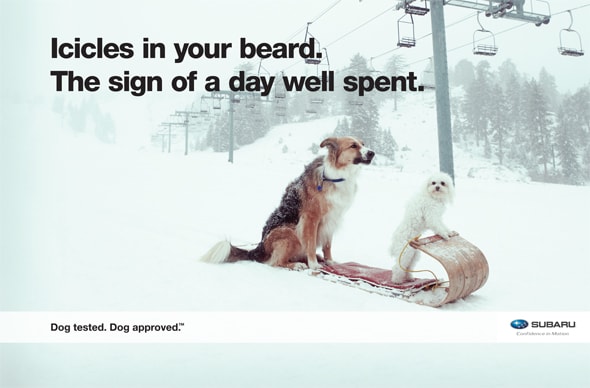 Dog Tested Subaru