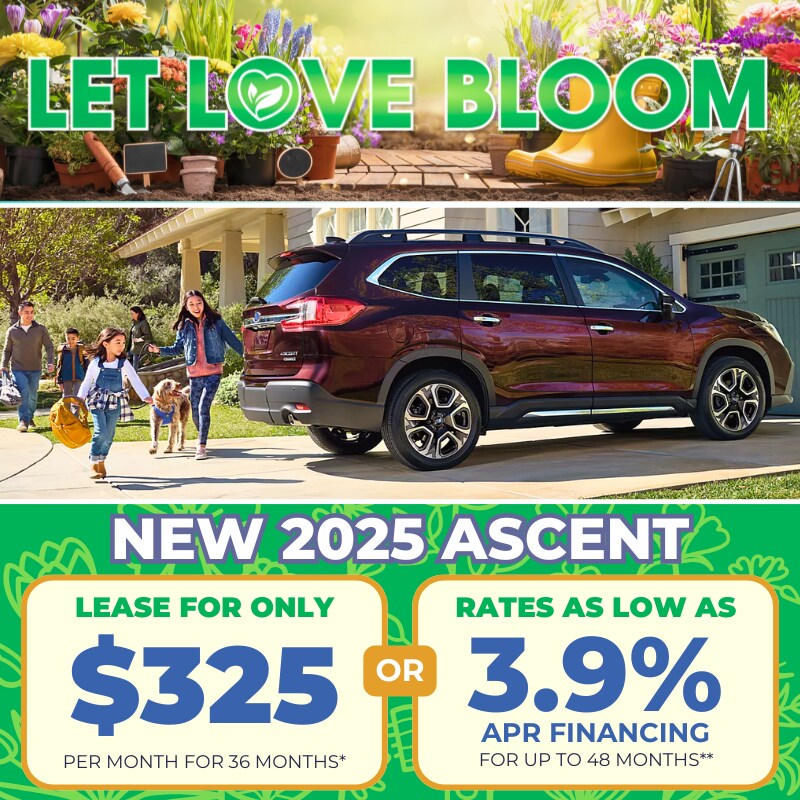 2025 New Subaru Ascent Deal 2025 New Subaru Ascent Deal