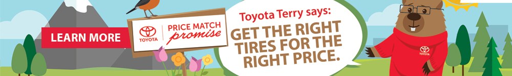 BurlingtonToyotaTerryInventoryBanner.jpg