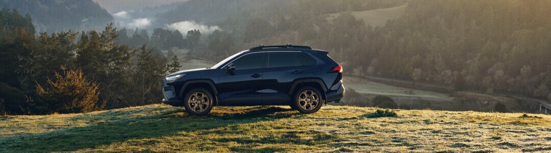 2025 Toyota RAV4 Hybrid