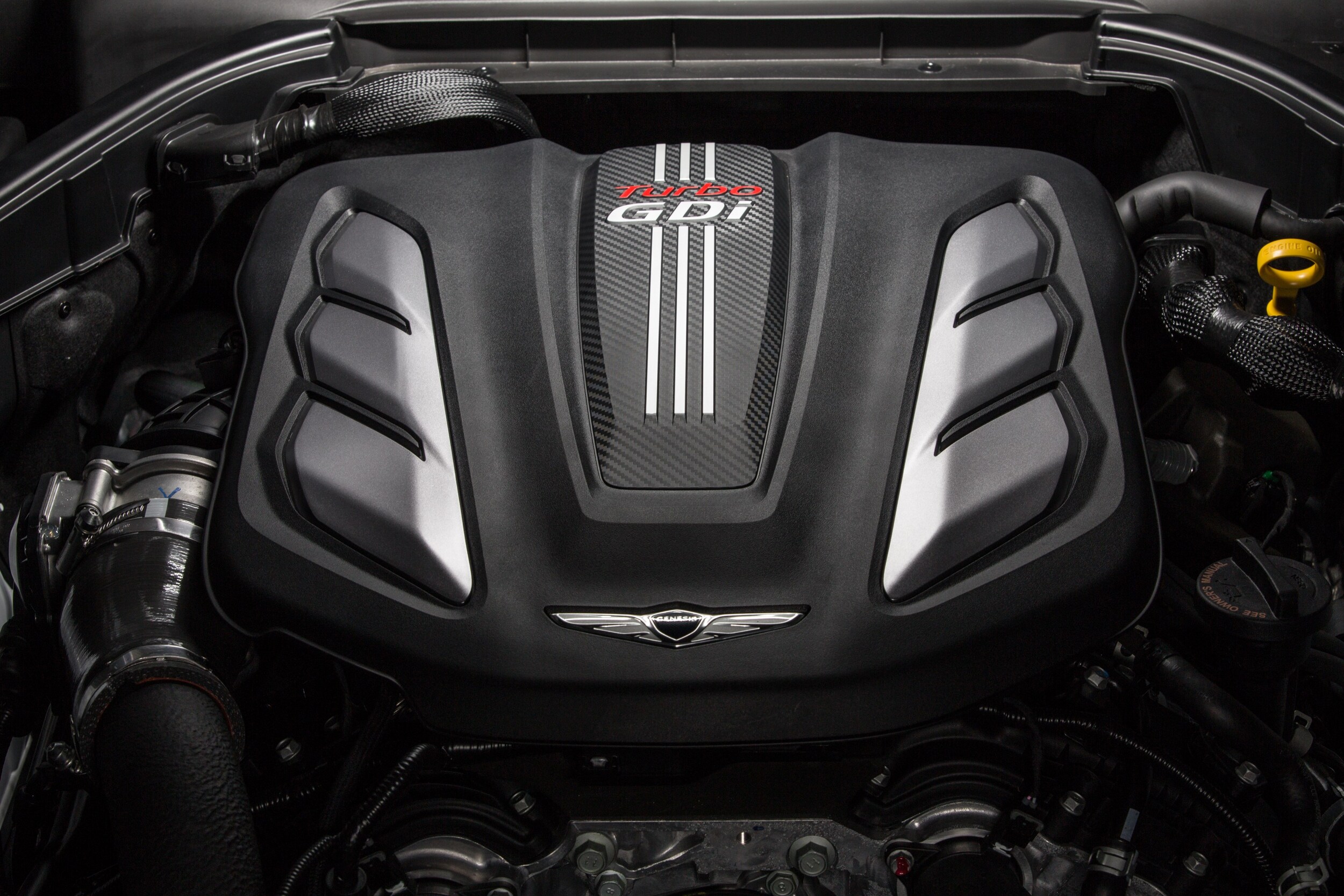 Cherry Hill Genesis G80 Cherry Hill Genesis G80