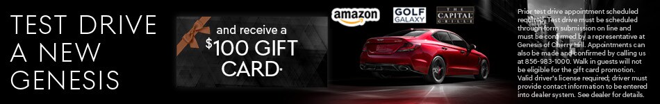 2019-10-burnsgenesisgen-08031187-Test-Drive-Gift-OT-New.jpg