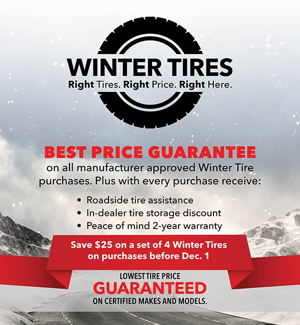 AS_WinterTires_38x48_1017_Dec25.jpg
