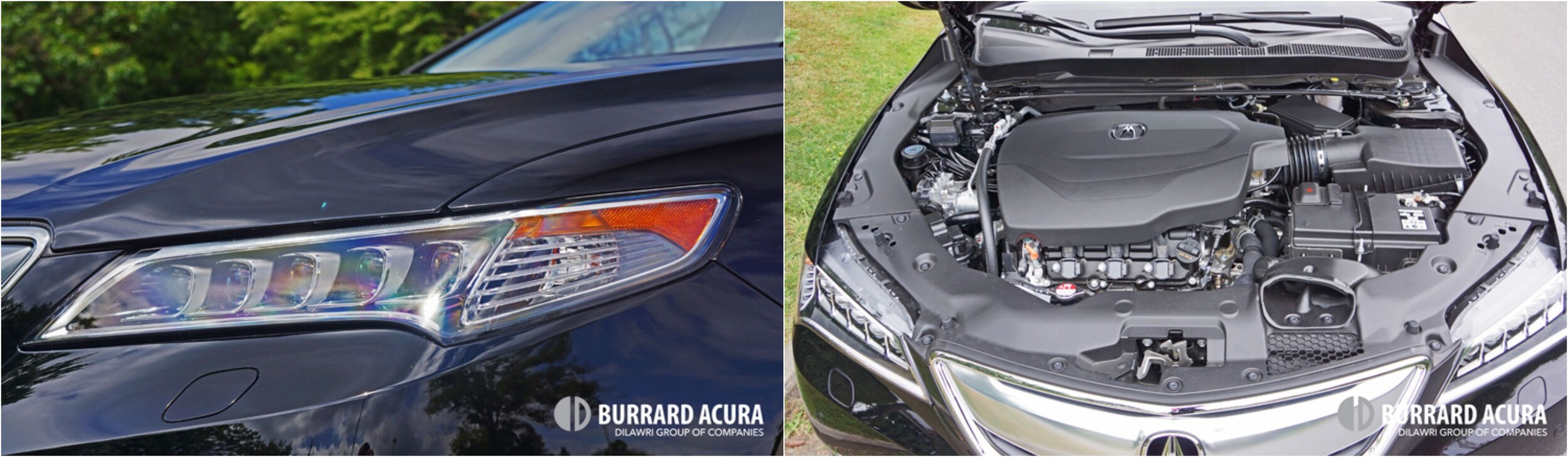 2016-Acura-TLX-Burrard-Acura.jpg